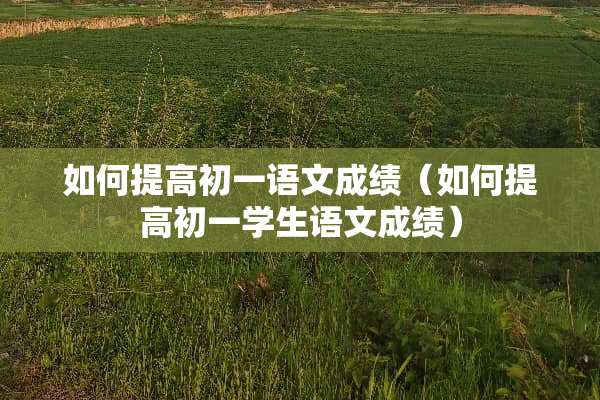 如何提高初一语文成绩（如何提高初一学生语文成绩）