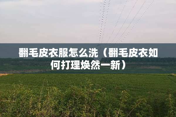 翻毛皮衣服怎么洗（翻毛皮衣如何打理焕然一新）