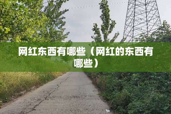 网红东西有哪些（网红的东西有哪些）