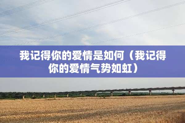 我记得你的爱情是如何（我记得你的爱情气势如虹）