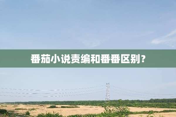 番茄小说责编和番番区别？