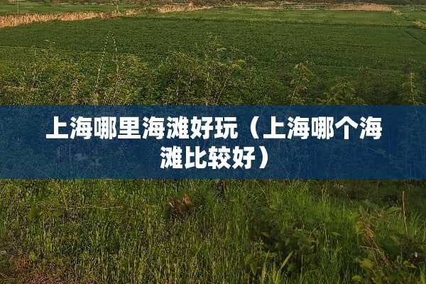 上海哪里海滩好玩（上海哪个海滩比较好）