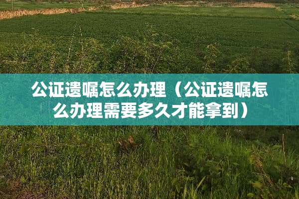 公证遗嘱怎么办理（公证遗嘱怎么办理需要多久才能拿到）