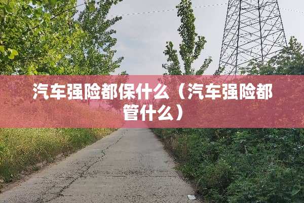 汽车强险都保什么（汽车强险都管什么）