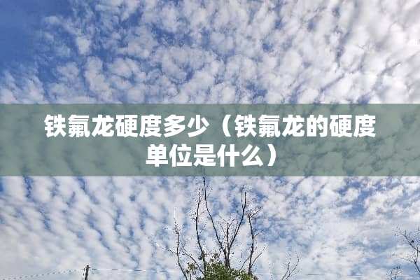铁氟龙硬度多少（铁氟龙的硬度单位是什么）