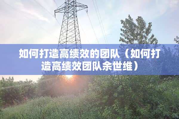 如何打造高绩效的团队（如何打造高绩效团队余世维）