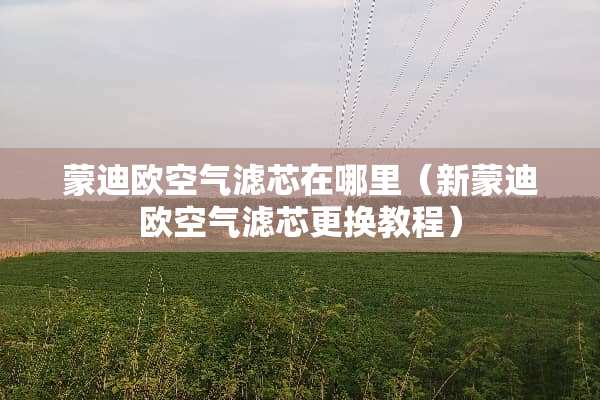 蒙迪欧空气滤芯在哪里（新蒙迪欧空气滤芯更换教程）