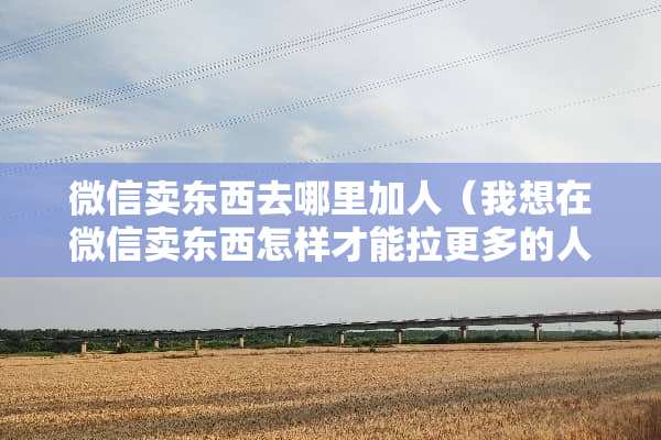 微信卖东西去哪里加人（我想在微信卖东西怎样才能拉更多的人）