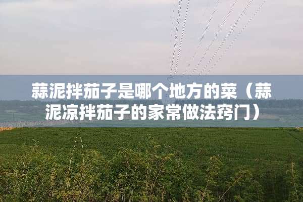 蒜泥拌茄子是哪个地方的菜（蒜泥凉拌茄子的家常做法窍门）