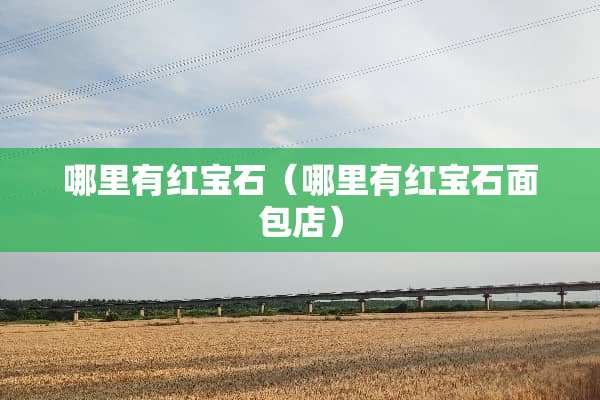 哪里有红宝石（哪里有红宝石面包店）