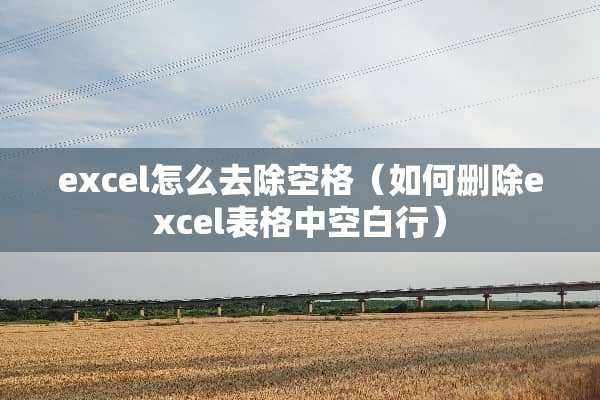excel怎么去除空格（如何删除excel表格中空白行）