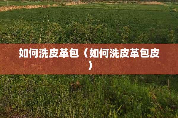 如何洗皮革包（如何洗皮革包皮）