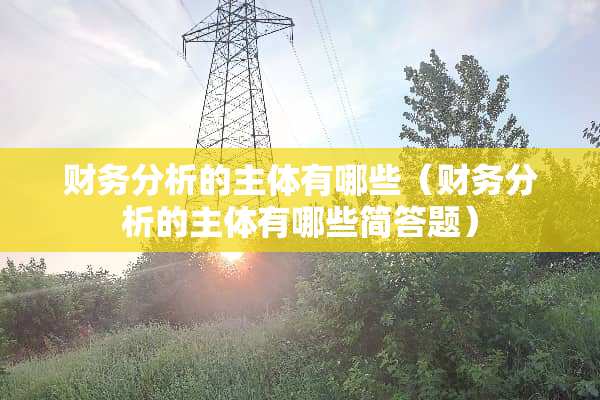 财务分析的主体有哪些（财务分析的主体有哪些简答题）