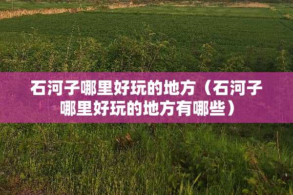石河子哪里好玩的地方（石河子哪里好玩的地方有哪些）