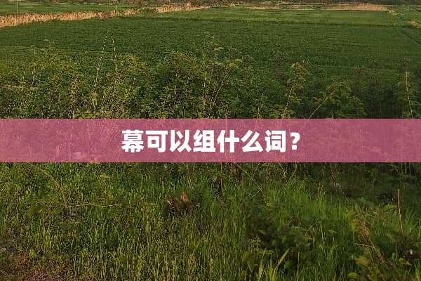 幕可以组什么词？