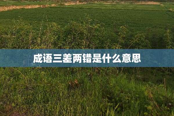 成语三差两错是什么意思