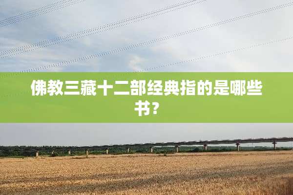 佛教三藏十二部经典指的是哪些书？
