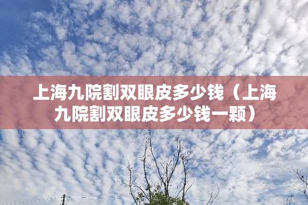 上海九院割双眼皮多少钱（上海九院割双眼皮多少钱一颗）