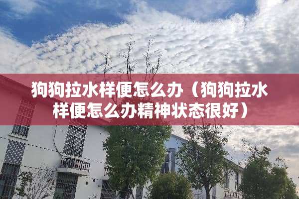 狗狗拉水样便怎么办（狗狗拉水样便怎么办精神状态很好）