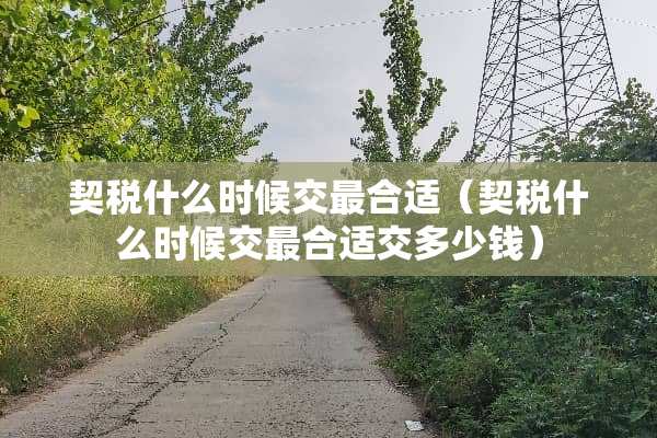 契税什么时候交最合适（契税什么时候交最合适交多少钱）