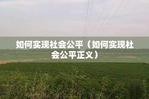 如何实现社会公平（如何实现社会公平正义）