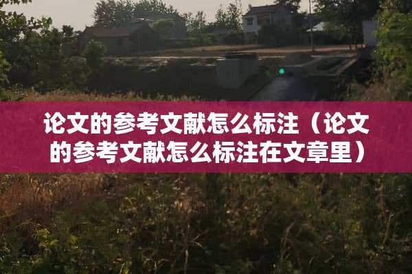 论文的参考文献怎么标注（论文的参考文献怎么标注在文章里）
