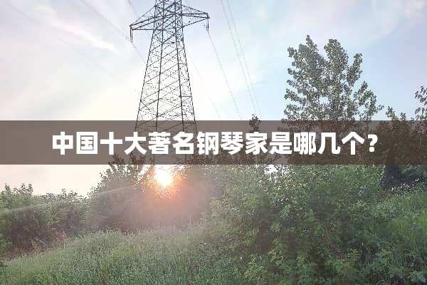 中国十大著名钢琴家是哪几个？