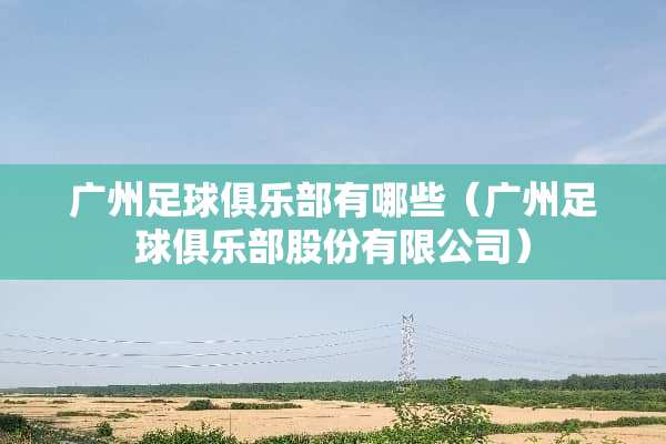 广州**俱乐部有哪些（广州**俱乐部股份有限公司）