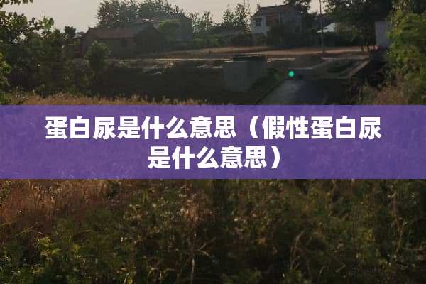 蛋白尿是什么意思（假性蛋白尿是什么意思）