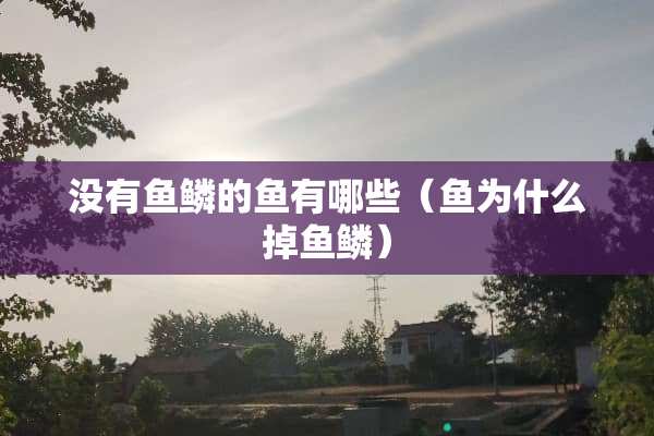 没有鱼鳞的鱼有哪些（鱼为什么掉鱼鳞）