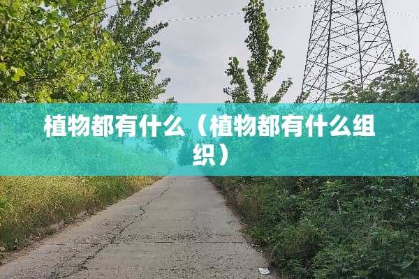 植物都有什么（植物都有什么组织）