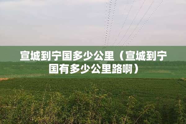 宣城到宁国多少公里（宣城到宁国有多少公里路啊）