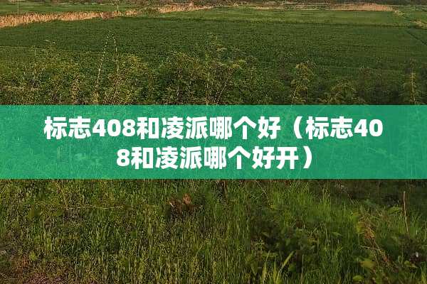 标志408和凌派哪个好（标志408和凌派哪个好开）