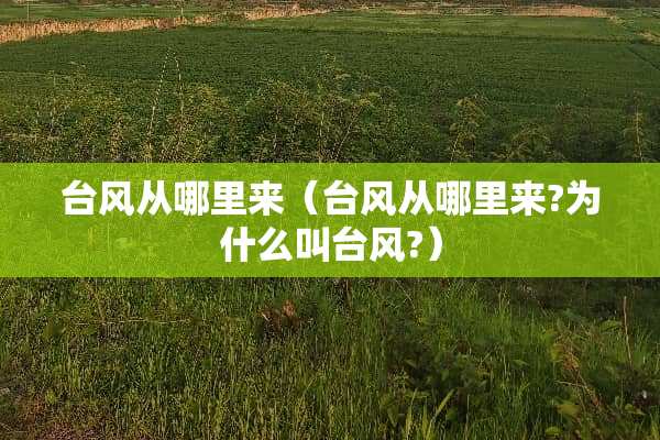 台风从哪里来（台风从哪里来?为什么叫台风?）