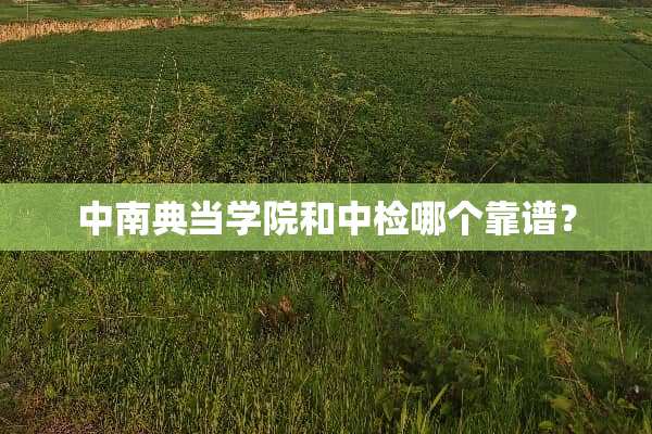 中南典当学院和中检哪个靠谱？