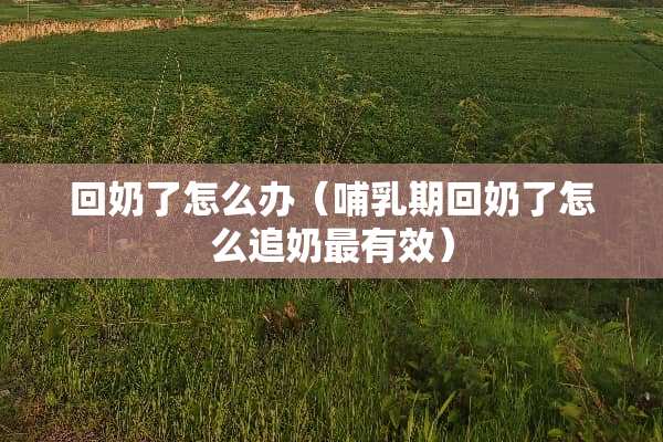 回奶了怎么办（哺*期回奶了怎么追奶最有效）
