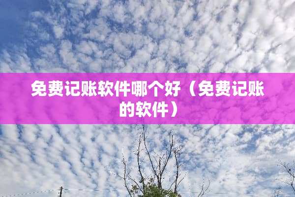 免费记账软件哪个好（免费记账的软件）