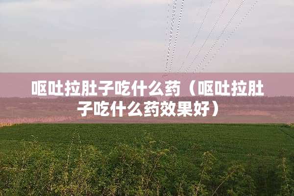 呕吐拉肚子吃什么药（呕吐拉肚子吃什么药效果好）