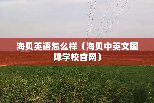 海贝英语怎么样（海贝中英文国际学校官网）
