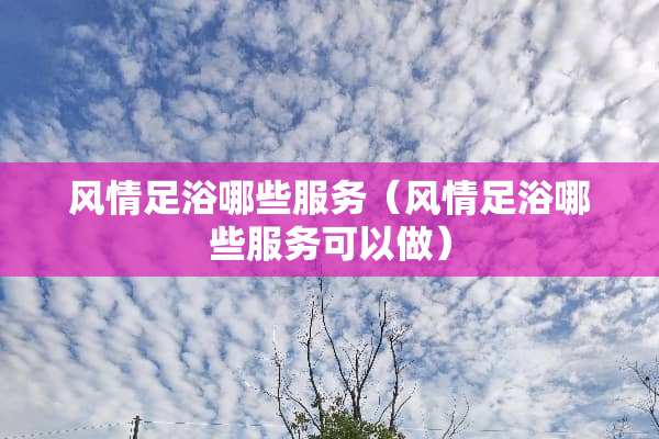风情**哪些服务（风情**哪些服务可以做）