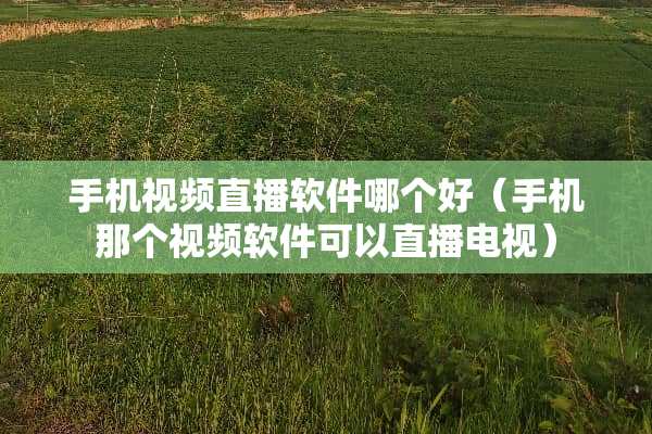 手机视频直播软件哪个好（手机那个视频软件可以直播电视）