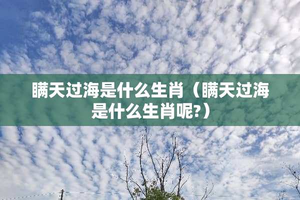 瞒天过海是什么生肖（瞒天过海是什么生肖呢?）
