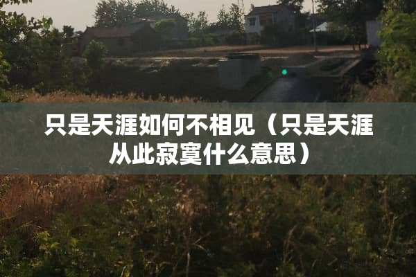 只是天涯如何不相见（只是天涯从此寂寞什么意思）