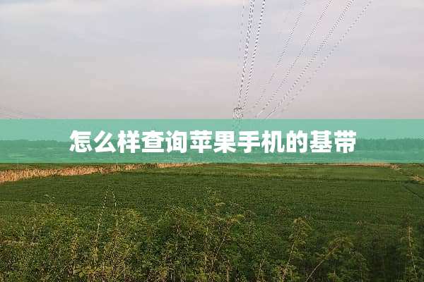 怎么样查询苹果手机的基带
