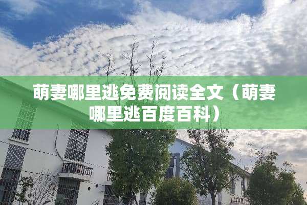 萌妻哪里逃免费阅读全文（萌妻哪里逃百度百科）