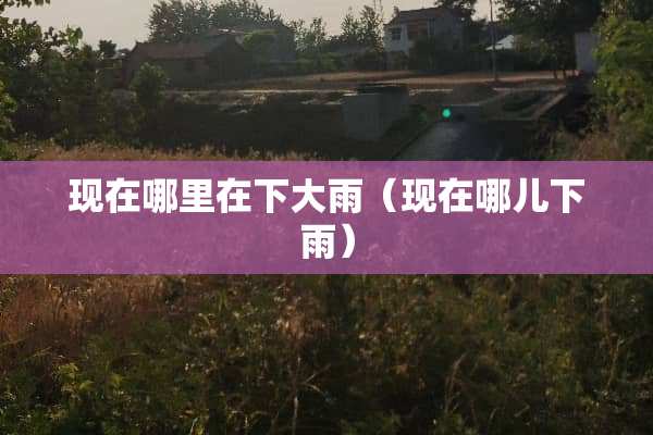 现在哪里在下大雨（现在哪儿下雨）