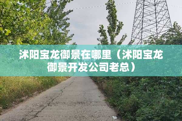 沭阳宝龙御景在哪里（沭阳宝龙御景开发公司老总）