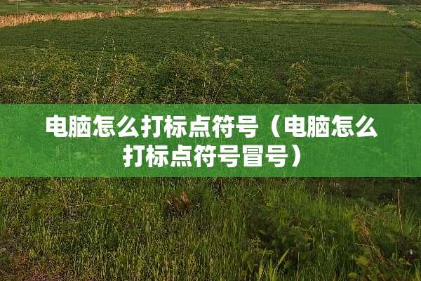 电脑怎么打标点符号（电脑怎么打标点符号冒号）