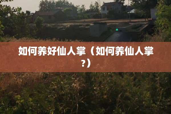 如何养好仙人掌（如何养仙人掌?）