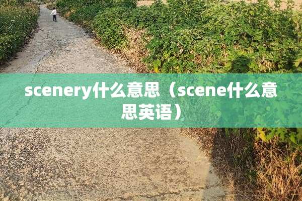 scenery什么意思（scene什么意思英语）